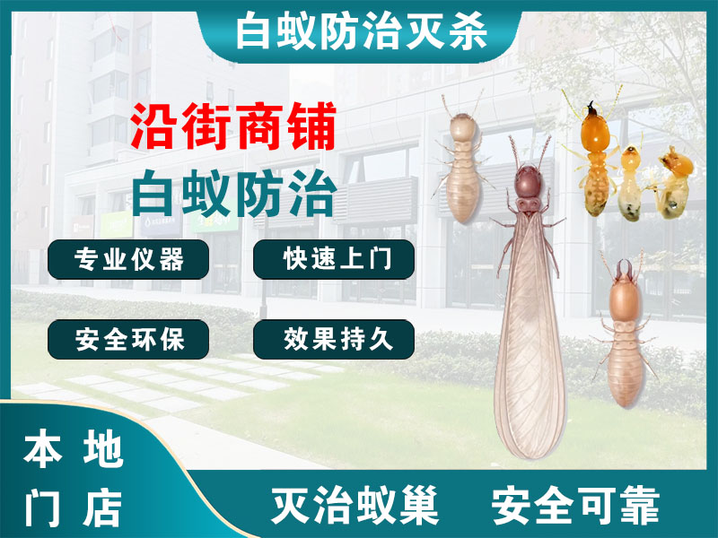 沛县沿街商铺白蚁防治