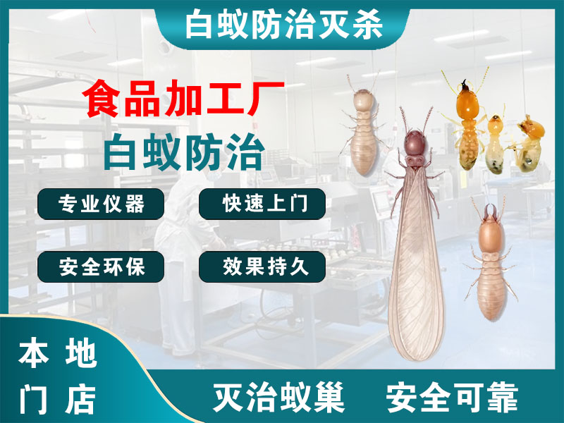 沛县食品加工厂白蚁防治