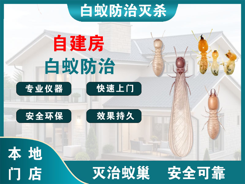 沛县自建房白蚁防治