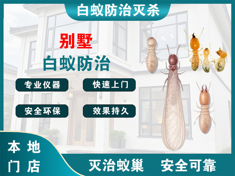 沛县别墅白蚁防治